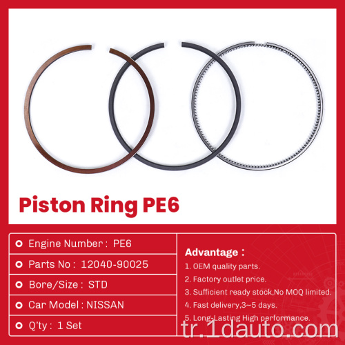 12040-90025 Dizel Motor Piston Halkası Seti Nissan PE6